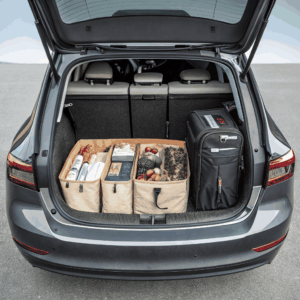 Foldable Leather-Trim Trunk Tool & Storage Box